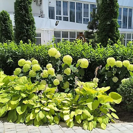 сдам 1 комн.кв. в жк море на ул. львовской * Одеса